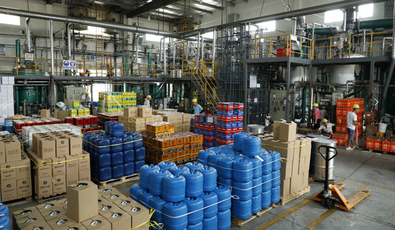 Ottimo servizio clienti Audi LXIY 2015 Modelli Oro Bianco Vernice di Auto Misto