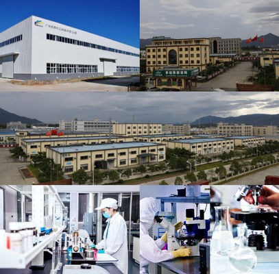 Toyota 202 Vernice per auto nera Protezione per la tua auto Vernice per auto Automotive Vernice per auto Fabbrica di vernici