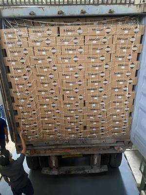 Dongfeng Nissan G41 Ossidiano Nero Vernice auto finitura Sottile metallico lucente Acrilico