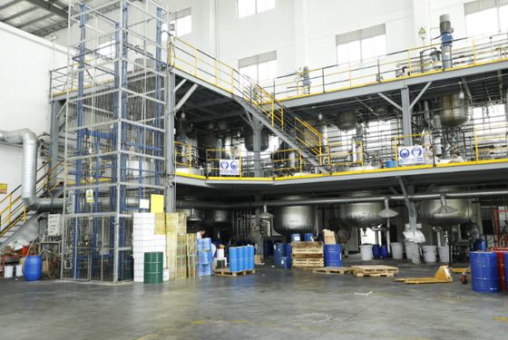 Verniciatura di resina acrilica auto-finitura colori solidi elevati Topcoat automobilistico 2k