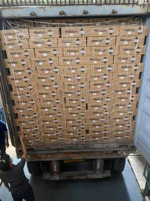 UV resistente Auto lucido Vernice multifunzionale non tossico